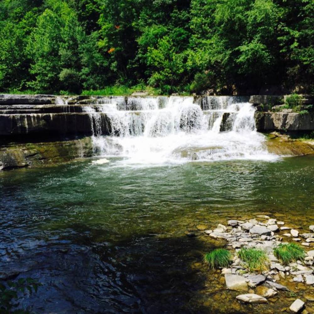 Meet your Posher, Noah